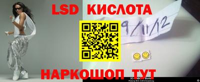 spice Свободный